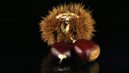 Chestnuts on a black reflective background