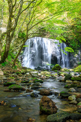 初秋の達沢不動滝　福島県猪苗代町　Tatsusawa Fudo Falls in early autumn. Fukushima Pref, Inawashiro town.