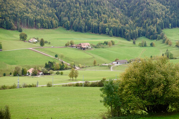 Fototapeta na wymiar landscape with cows and houses in the background