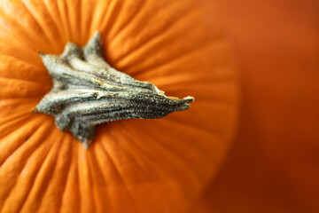 Calabaza naranja y brillante para Halloween 