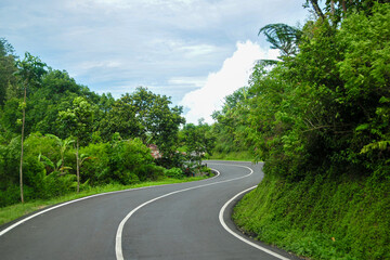 winding road in the middle of the forest
