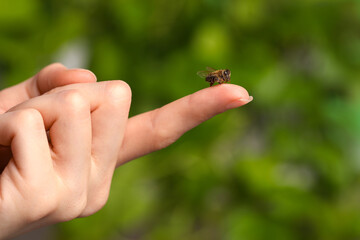 Bee going to sting woman on green blurred background, closeup. Space for text