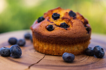 Fresh Blue Berry Muffin