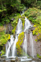 Fototapeta premium 滝