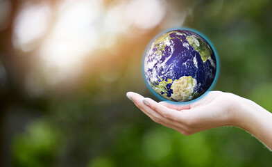 Woman, hands and palm with planet earth for eco friendly environment, global warming or nature. Closeup of female person with hologram of world for sustainability, living or natural globalization