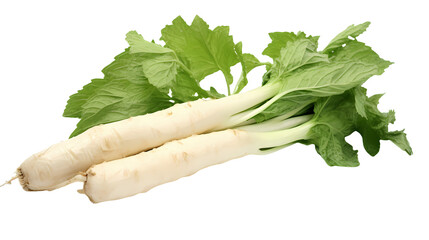 Lettuce on transparent background