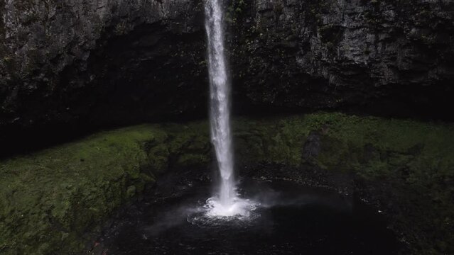 Waterfall in the Forest