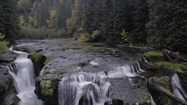 Waterfall in the Forest
