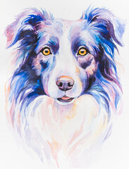 dog painted in watercolor on a white background