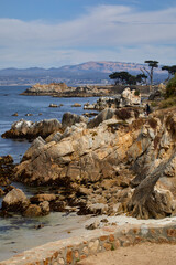 Rugged coast of scenic blue water near Pebble Beach on the Monterey Peninsula in California USA