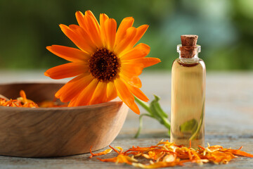 Bottle of essential oil and bowl with beautiful calendula flower on wooden table outdoors, closeup