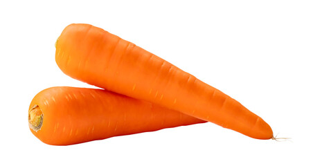 Two fresh orange carrots in stack isolated on white background with clipping path in png file format, Close up of healthy vegetable root with full focus