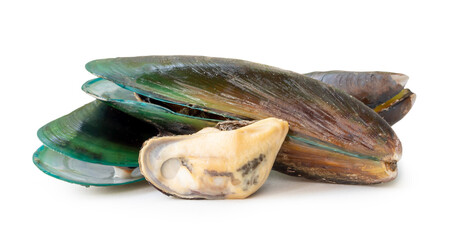 Steamed or cooked food of fresh beautiful green mussels in stack isolated on white background with...