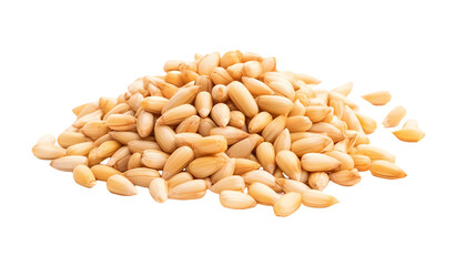 Pine nuts on transparent background