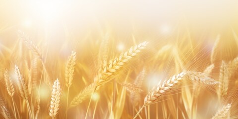 Abstract background illustration of wheat with copy space. 