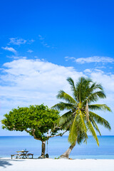 Fototapeta premium Tropical white sand beach in a blue sky sunny day. Portrait. Aglicay, Romblon, Philippines