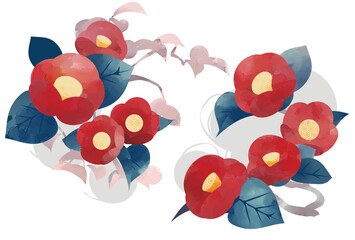 紅椿