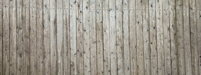 wooden fence stands tall, weathered by time, a symbol of protection and boundaries. Warm sunlight enhances its rustic charm in a serene garden setting