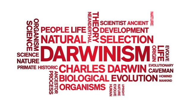 Darwinism animated tag word cloud;text design animation kinetic typography seamless loop.