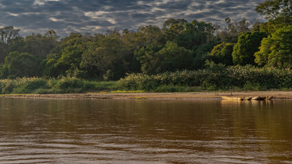 A calm tropical river. Wooden canoe boats are moored near the shore with lush green vegetation. Reflection on the shiny red-brown water. Clouds in the sky. Madagascar. Manambolo river.