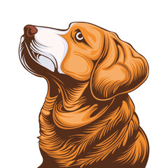 Beagle dog head vector illustration Isolated on white background