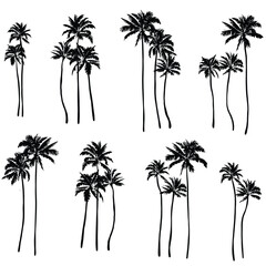 Black palm tree set vector illustration on white background silhouette art black white stock illustration png