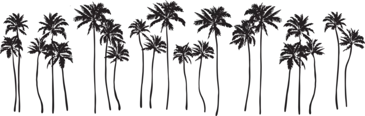 Abwaschbare Fototapete Black palm tree set vector illustration on white background silhouette art black white stock illustration png © Okkie Agemo Studio03