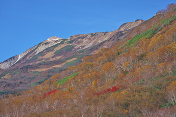 晩秋の栂池自然園より小蓮華山を望む