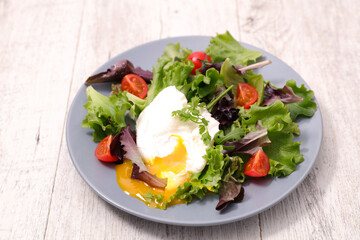 plate of lettuce salad and poached egg