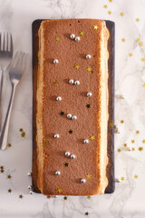 Traditional christmas chocolate yule log cake