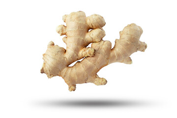 Flying ginger root isolated on white background.