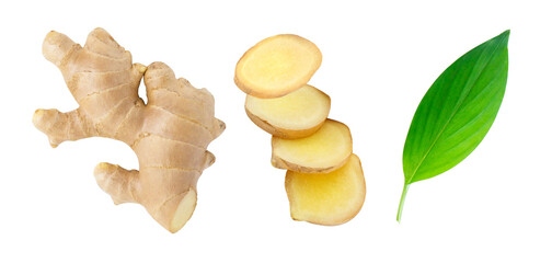Set of fresh ginger root with sliced and green leaves isolated on white background.