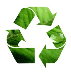 A symbol of recycling with fresh green leaves.