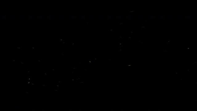 Rocks, tree branches, house roofs, and flying debris from violent storms  effect background footage, motion graphics, overlay 4K drag-and-drop editing software blending modes