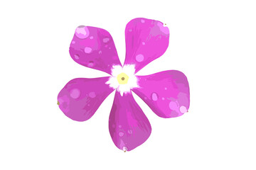 pink  flower