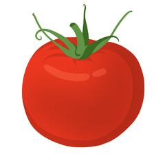 Tomato 