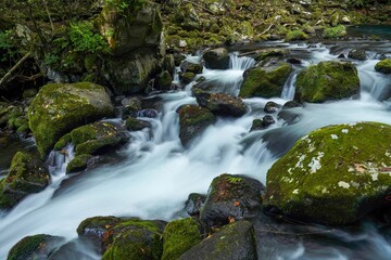 蓼科大滝の渓流の豪快な流れの情景