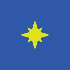 star icon vector on blue background 