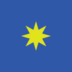star icon vector on blue background 
