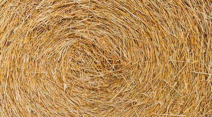 Hay bale is stacked in large stack. rural autumn with hay. straw summer background. haystack straw prepared for farm. Stack dry hay. Hay texture. Haystack storage