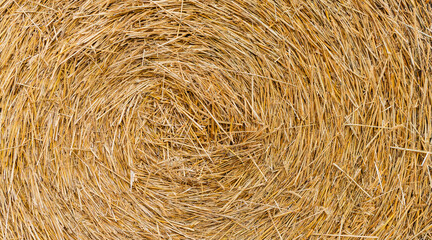 Hay bale is stacked in large stack. rural autumn with hay. straw summer background. haystack straw prepared for farm. Stack dry hay. Hay texture. Haystack storage