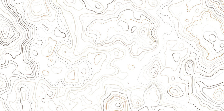 Topographic map background concept with space for your copy. Geography concept.  The concept of a conditional geography scheme and the terrain path. Black on White. Vector illustration.