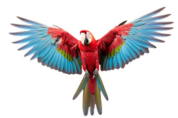 Green-winged Macaw, in front of white background - obrazy, fototapety, plakaty