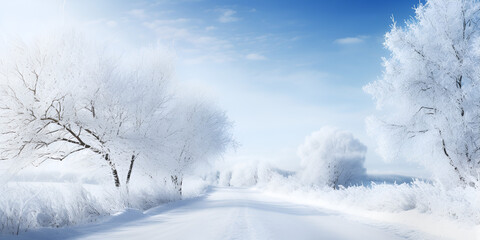 Fototapeta na wymiar beautiful winter sky over a white forest covered in snow, 