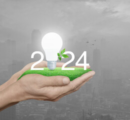 2024 white text and led light bulb with fresh leaves on green grass in hands over pollution of city...