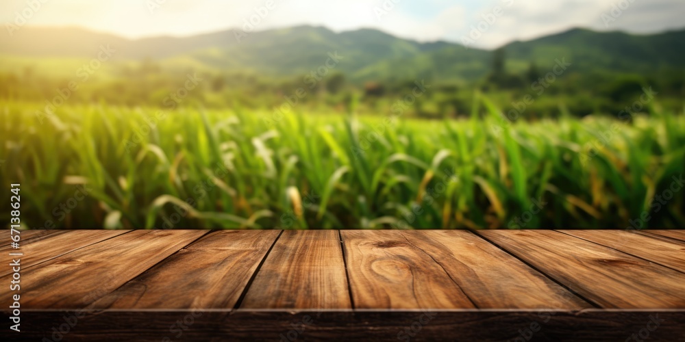 Wall mural the empty wooden brown table top with blur background of sugarcane plantation. exuberant image. gene