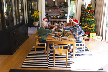 Happy diverse group of senior friends toasting at christmas dinner in sunny dining room at home
