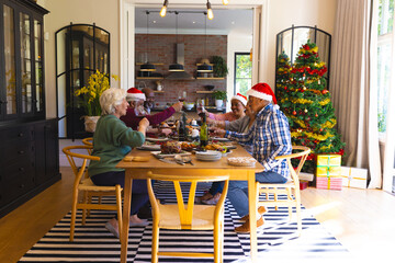 Happy diverse group of senior friends toasting at christmas dinner in sunny dining room at home