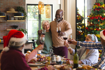 Happy diverse senior couple of friends toasting at christmas dinner in sunny dining room