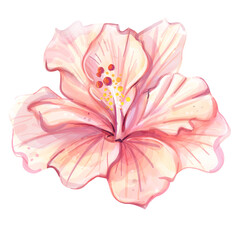 Watercolour Bright red flower Hibiskus on white background (isolated). Tropical © Yekaterina Kashutina
